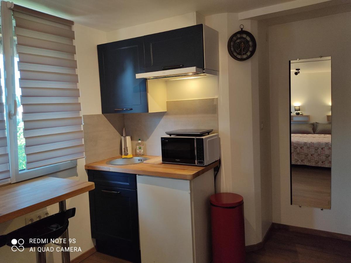 Apartment Albert Parking Prive Gratuit Limoux Exteriör bild