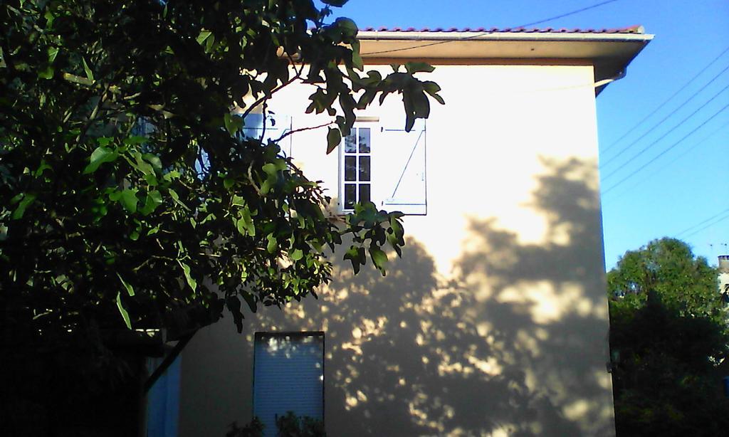 Apartment Albert Parking Prive Gratuit Limoux Exteriör bild
