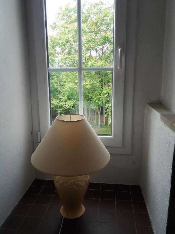 Apartment Albert Parking Prive Gratuit Limoux Exteriör bild